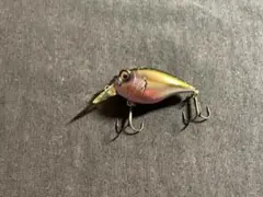 2026年最新】グリフォン6ccの人気アイテム - メルカリ