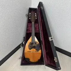 2026年最新】マンドリン s.watanabeの人気アイテム - メルカリ