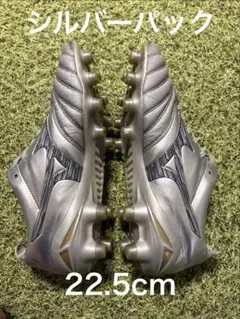 2026年最新】モレリアネオ4 シルバーの人気アイテム - メルカリ