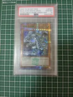 2026年最新】青眼の白龍 東京 psa10の人気アイテム - メルカリ