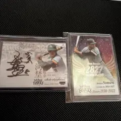 2026年最新】河埜敬幸の人気アイテム - メルカリ