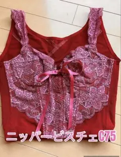 2026年最新】ララグラント ニッパービスチェの人気アイテム - メルカリ