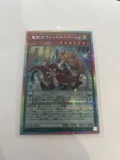 2026年最新】ウィンドユニコーンの人気アイテム - メルカリ