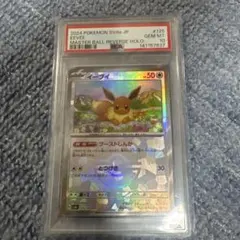 2026年最新】テラスタルフェス マスターボール イーブイの人気アイテム