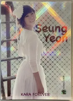 2026年最新】#韓国版KARAスターコレクションカード第2弾レアリティの