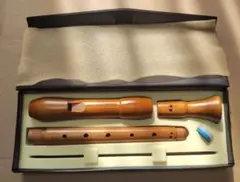 2026年最新】リコーダー アルト 木製の人気アイテム - メルカリ