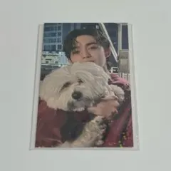 2026年最新】セブチ fml トレカ エスクプスの人気アイテム - メルカリ