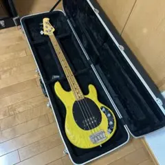 2026年最新】ミュージックマン ハードケースの人気アイテム - メルカリ