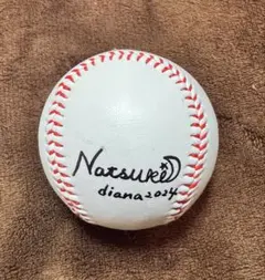 2026年最新】diana ベイスターズ finalsの人気アイテム - メルカリ