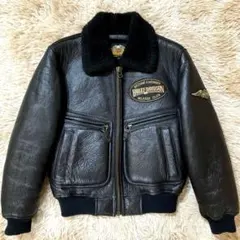 2026年最新】Harley-Davidson ムートンの人気アイテム - メルカリ