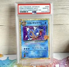 2026年最新】ギャラドス psa10の人気アイテム - メルカリ