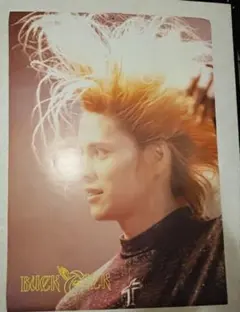 2026年最新】BUCK-TICK ポスターの人気アイテム - メルカリ