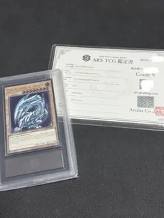 2026年最新】青眼の白龍 レリーフ arsの人気アイテム - メルカリ