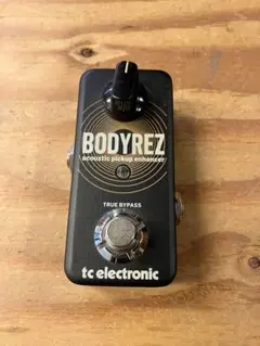 2026年最新】tc electronic bodyrezの人気アイテム - メルカリ