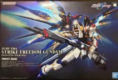 2026年最新】pg ストライクフリーダムの人気アイテム - メルカリ