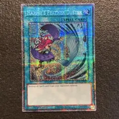 2026年最新】ハーピィの羽根箒絵違いの人気アイテム - メルカリ