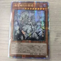 2026年最新】迷宮の白銀姫 アジアの人気アイテム - メルカリ