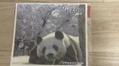 2026年最新】タンタン パンダの人気アイテム - メルカリ