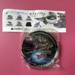 2026年最新】オオアタマガメの人気アイテム - メルカリ