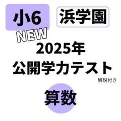 2026年最新】浜学園 小6 復習テストの人気アイテム - メルカリ