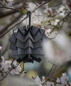 2026年最新】solol シェードの人気アイテム - メルカリ