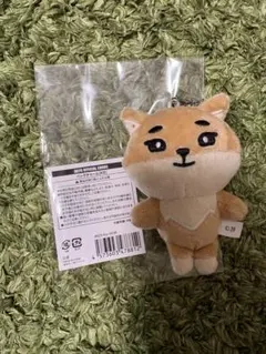 2026年最新】Day6 デニマルズの人気アイテム - メルカリ