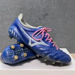 2026年最新】モレリアネオ3 アズールブルーの人気アイテム - メルカリ