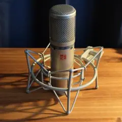 2026年最新】sE ELECTRONICS sE2200a II コンデンサーマイクの人気