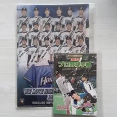 2026年最新】大谷翔平 クリアファイル ファイターズの人気アイテム