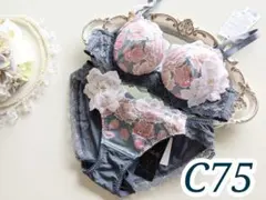 2026年最新】サルート日本の花嫁の人気アイテム - メルカリ