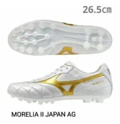 2026年最新】モレリア2japanゴールドの人気アイテム - メルカリ