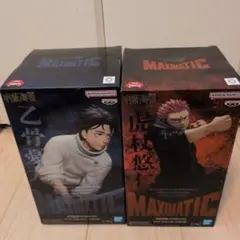 2026年最新】maximatic 虎杖悠仁の人気アイテム - メルカリ