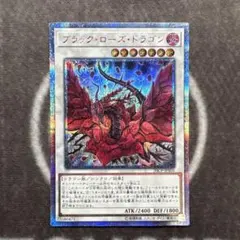 2026年最新】ブラックローズドラゴン 20thの人気アイテム - メルカリ