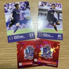 2026年最新】ルヴァンカップ サンフレッチェの人気アイテム - メルカリ