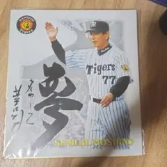 2026年最新】星野仙一 サインの人気アイテム - メルカリ