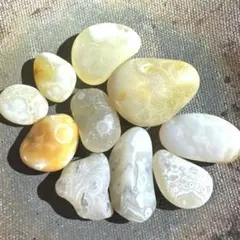 2026年最新】津軽錦石の人気アイテム - メルカリ