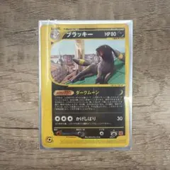 2026年最新】ブラッキー 025/P マクドナルドの人気アイテム - メルカリ