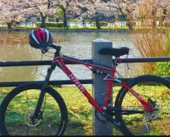 2026年最新】コルナゴ フェラーリの人気アイテム - メルカリ