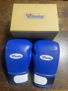 2026年最新】ウィニングボクシンググローブ 14の人気アイテム - メルカリ