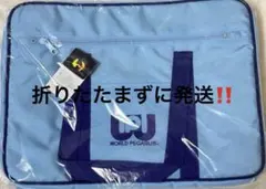 2026年最新】ワールドペガサス スクバ 水色の人気アイテム - メルカリ