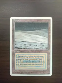 2026年最新】デュアルランドの人気アイテム - メルカリ