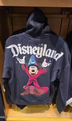 2026年最新】カリフォルニア ディズニー パーカーの人気アイテム