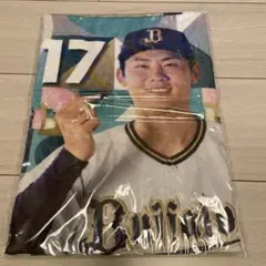 2026年最新】曽谷龍平 タオルの人気アイテム - メルカリ