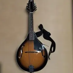 2026年最新】フラットマンドリンの人気アイテム - メルカリ