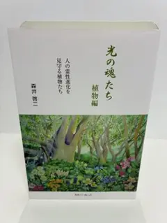2026年最新】森井啓二 光の魂たちの人気アイテム - メルカリ