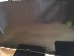 2026年最新】LC-60Z5 シャープの人気アイテム - メルカリ