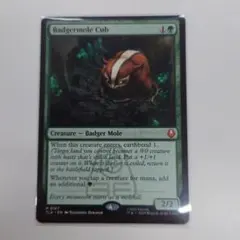 2026年最新】アナグマモグラの仔の人気アイテム - メルカリ