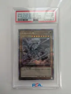 2026年最新】ブルーアイズホワイトドラゴン 初期 psaの人気アイテム