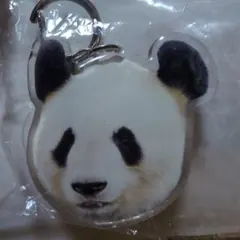 2026年最新】上野動物園パンダキーホルダーの人気アイテム - メルカリ