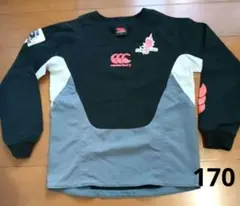 2026年最新】サンウルブズの人気アイテム - メルカリ